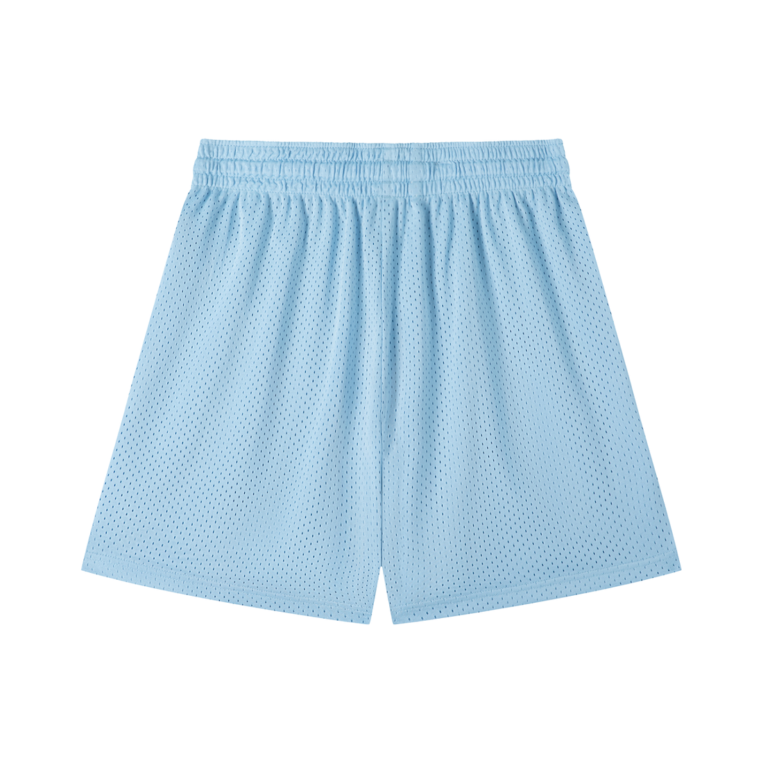 Wake Mesh Short