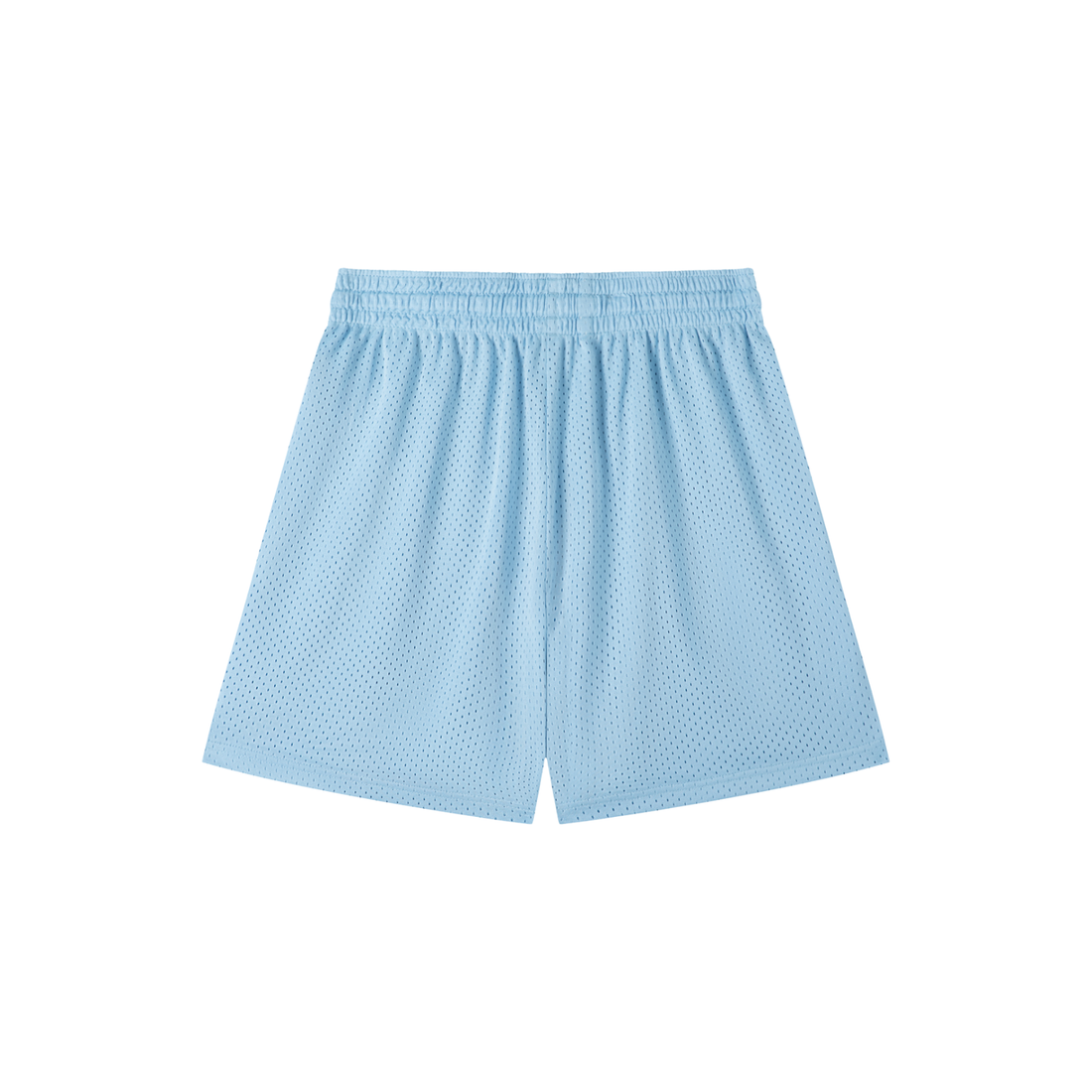 Wake Mesh Short